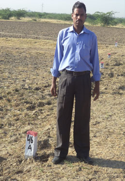 Adarsh Vatika Phase2