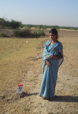 Adarsh Vatika Phase2